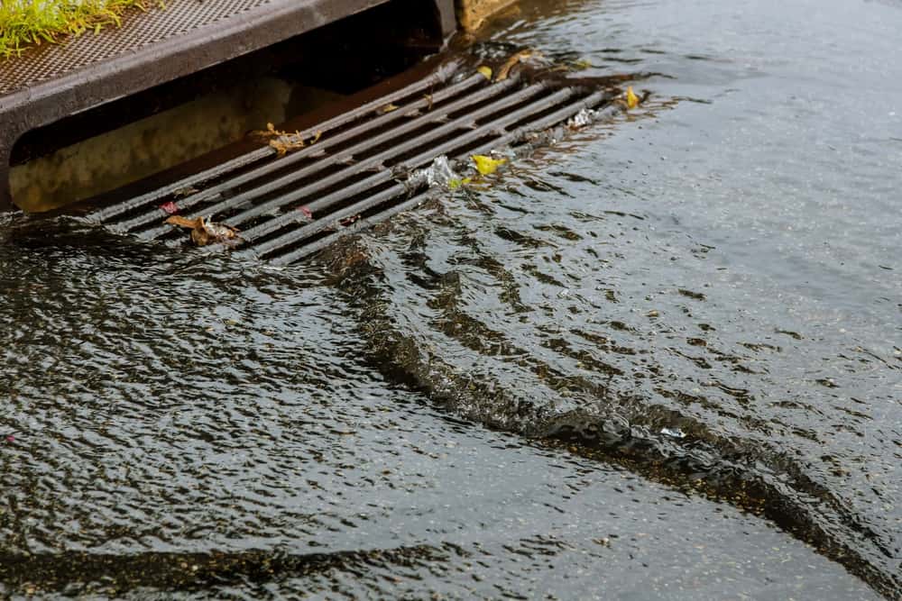 Water Gushing From Storm Drain